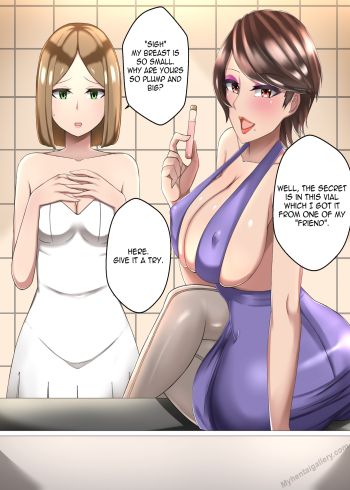 Cover of Bride NTR
